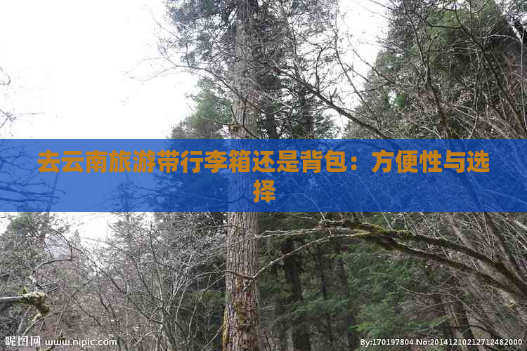 去云南旅游带行李箱还是背包：方便性与选择