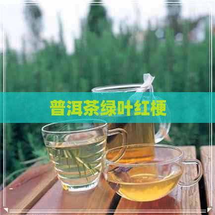 普洱茶绿叶红梗