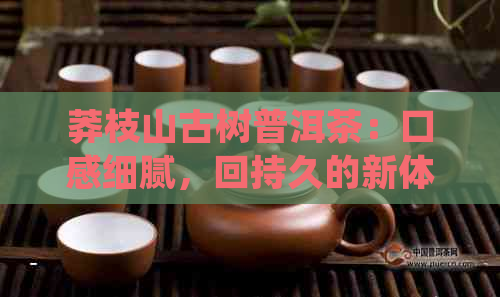 莽枝山古树普洱茶：口感细腻，回持久的新体验