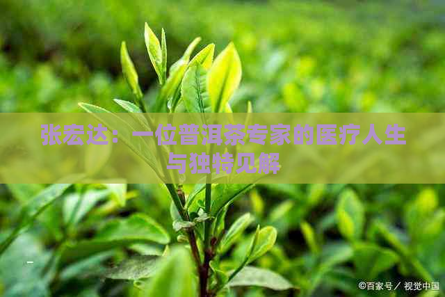 张宏达：一位普洱茶专家的医疗人生与独特见解