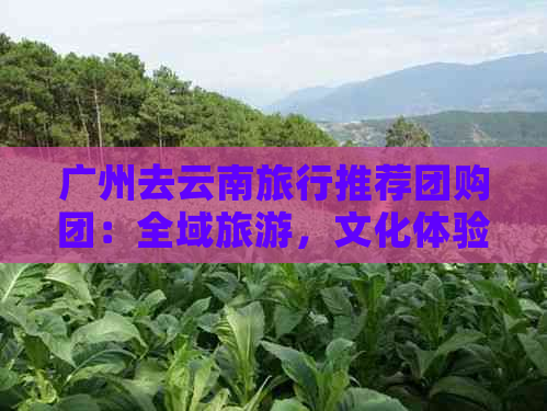 广州去云南旅行推荐团购团：全域旅游，文化体验，美食之旅，深度游