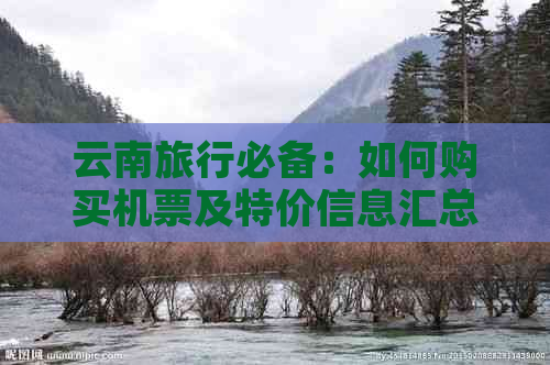 云南旅行必备：如何购买机票及特价信息汇总，现在还有优惠吗？