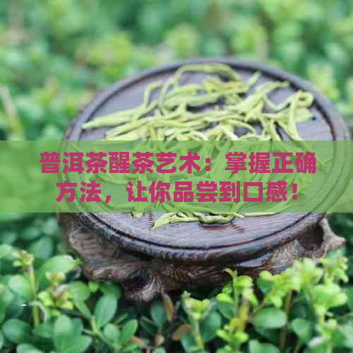 普洱茶醒茶艺术：掌握正确方法，让你品尝到口感！