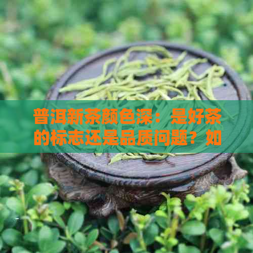 普洱新茶颜色深：是好茶的标志还是品质问题？如何辨别与选购？