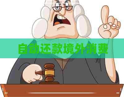 自动还款境外消费