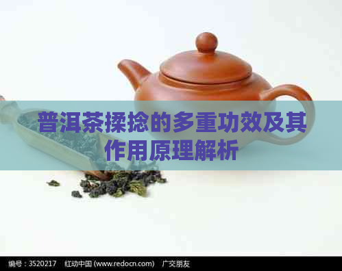 普洱茶揉捻的多重功效及其作用原理解析