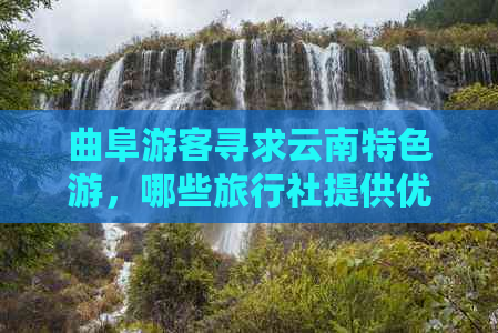 曲阜游客寻求云南特色游，哪些旅行社提供优质团队服务？