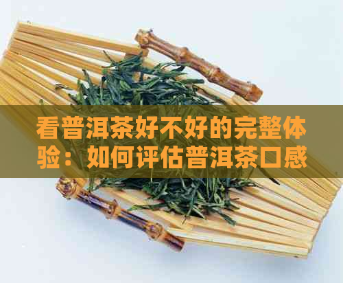 看普洱茶好不好的完整体验：如何评估普洱茶口感和质量