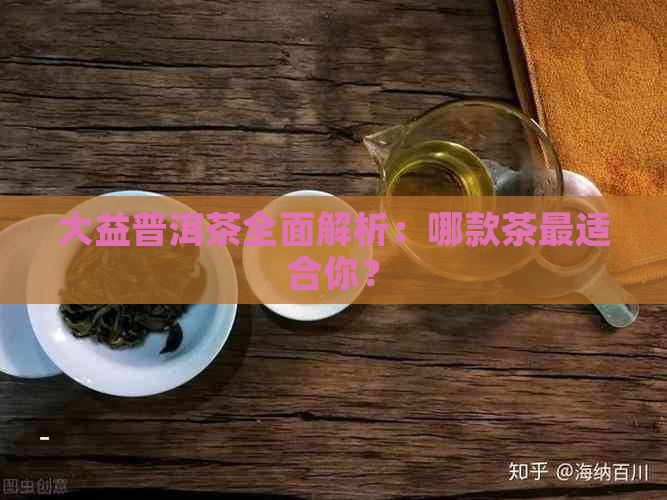 大益普洱茶全面解析：哪款茶最适合你？