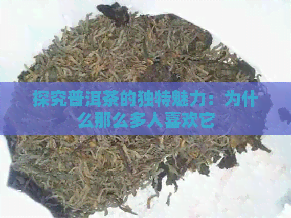 探究普洱茶的独特魅力：为什么那么多人喜欢它