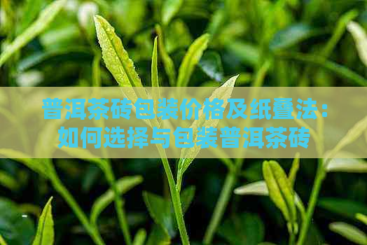 普洱茶砖包装价格及纸叠法：如何选择与包装普洱茶砖