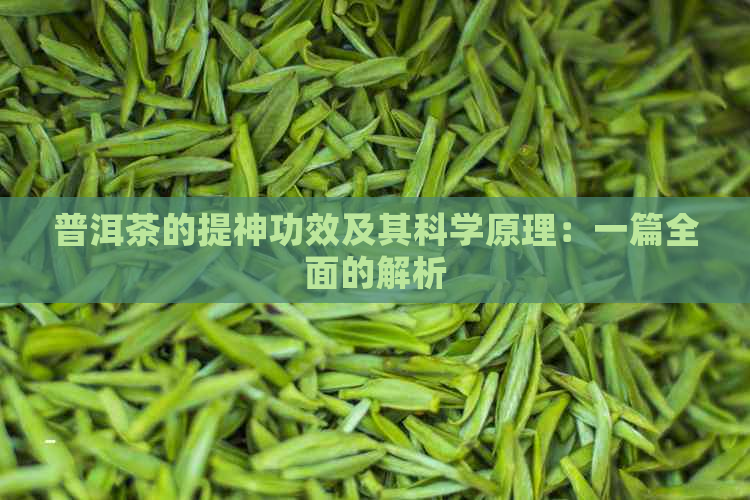 普洱茶的提神功效及其科学原理：一篇全面的解析