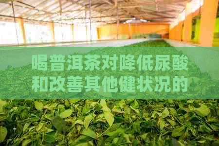 喝普洱茶对降低尿酸和改善其他健状况的多方面益处