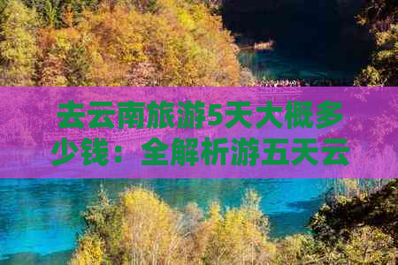 去云南旅游5天大概多少钱：全解析游五天云南的费用预估