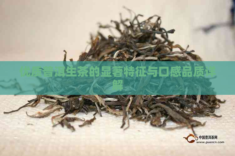 优质普洱生茶的显著特征与口感品质详解