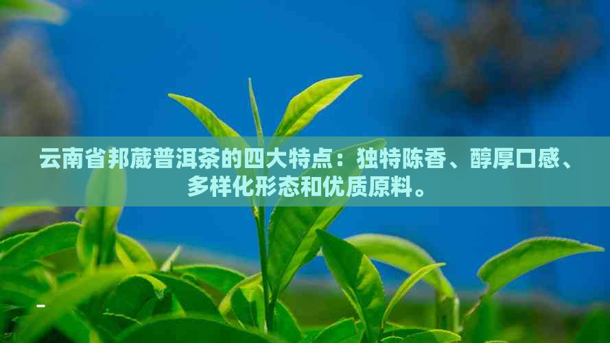 云南省邦葳普洱茶的四大特点：独特陈香、醇厚口感、多样化形态和优质原料。