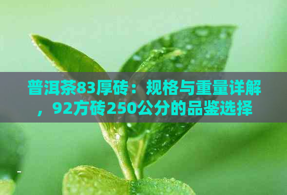 普洱茶83厚砖：规格与重量详解，92方砖250公分的品鉴选择