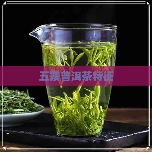 五寨普洱茶特征