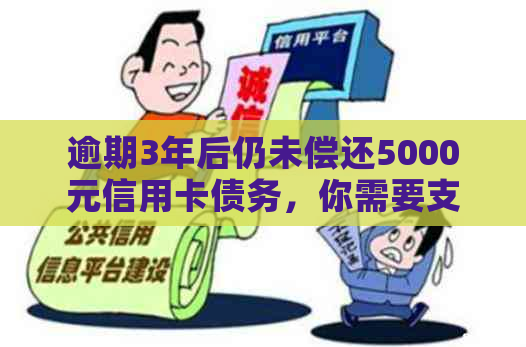 逾期3年后仍未偿还5000元信用卡债务，你需要支付多少利息？