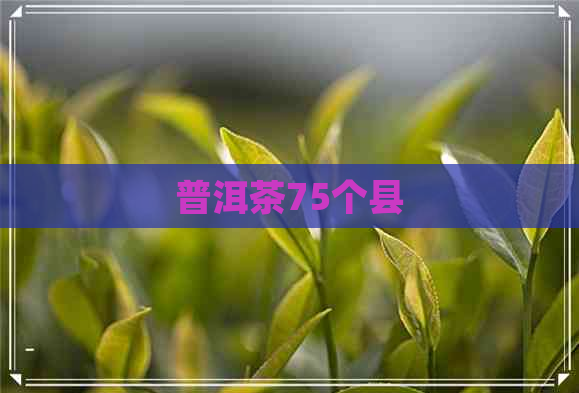 普洱茶75个县