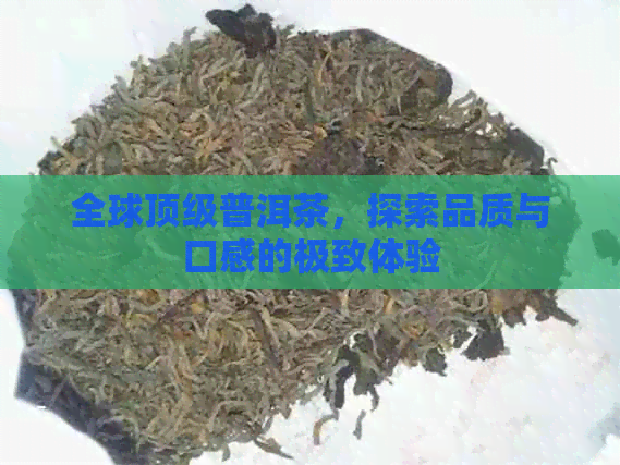 全球顶级普洱茶，探索品质与口感的极致体验