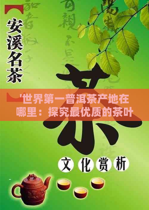 '世界之一普洱茶产地在哪里：探究更优质的茶叶源自何处'