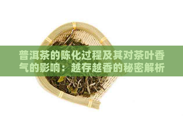 普洱茶的陈化过程及其对茶叶香气的影响：越存越香的秘密解析