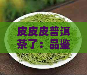 皮皮皮普洱茶了：品鉴与选择指南