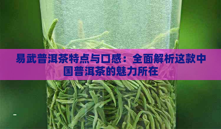 易武普洱茶特点与口感：全面解析这款中国普洱茶的魅力所在