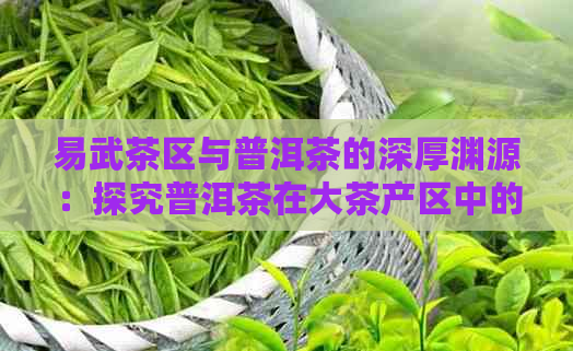 易武茶区与普洱茶的深厚渊源：探究普洱茶在大茶产区中的独特地位