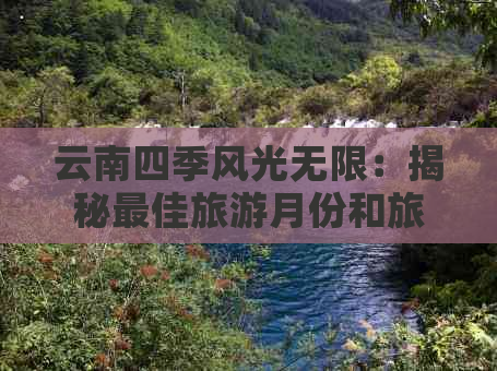 云南四季风光无限：揭秘更佳旅游月份和旅行攻略