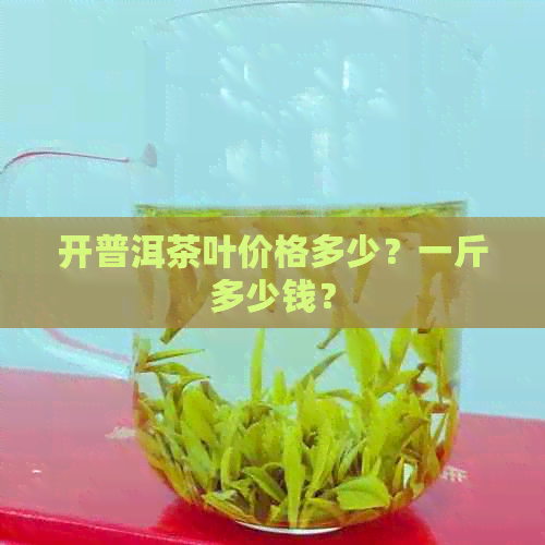 开普洱茶叶价格多少？一斤多少钱？