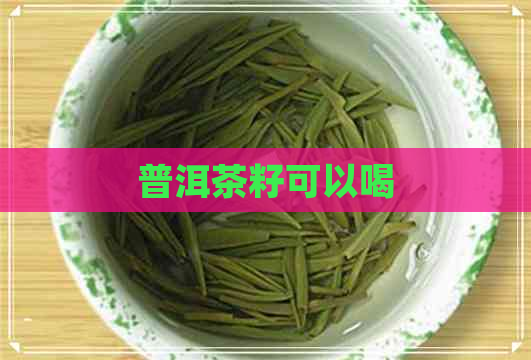 普洱茶籽可以喝