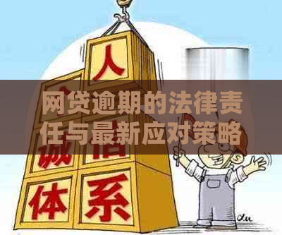 网贷逾期的法律责任与最新应对策略