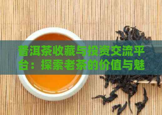 普洱茶收藏与投资交流平台：探索老茶的价值与魅力