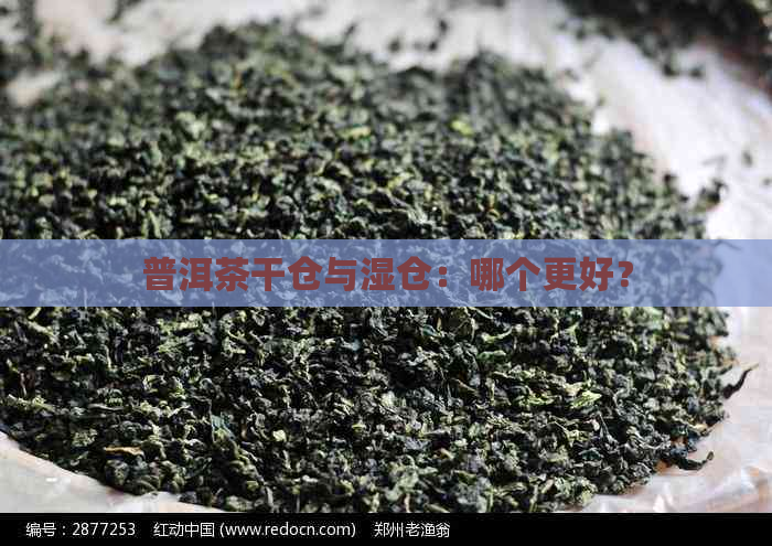 普洱茶干仓与湿仓：哪个更好？