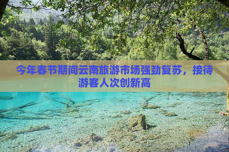 今年春节期间云南旅游市场强劲复苏，接待游客人次创新高