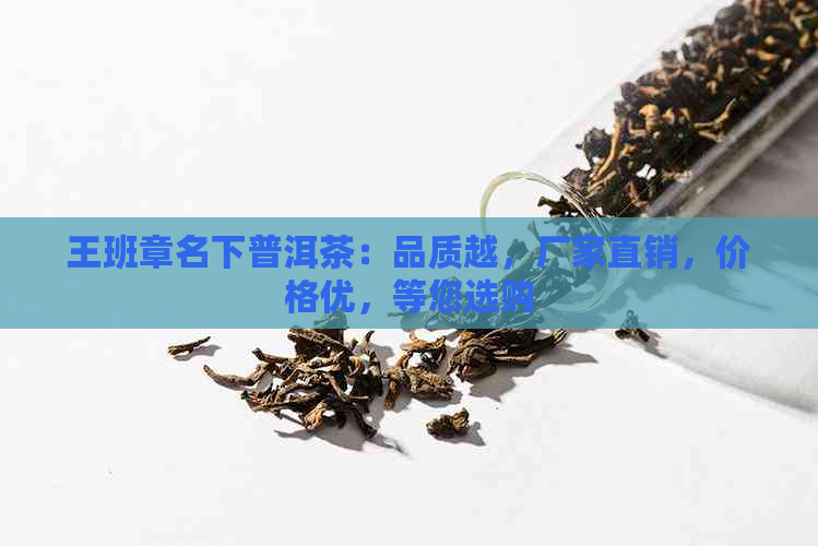 王班章名下普洱茶：品质越，厂家直销，价格优，等您选购