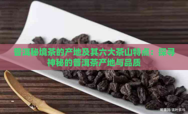 普洱秘境茶的产地及其六大茶山特点：探寻神秘的普洱茶产地与品质