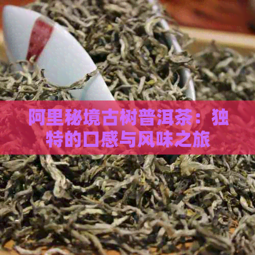 阿里秘境古树普洱茶：独特的口感与风味之旅