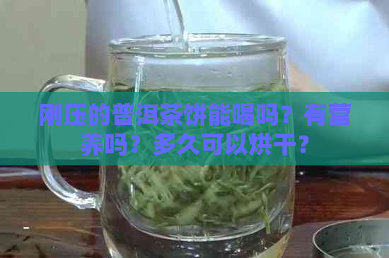 刚压的普洱茶饼能喝吗？有营养吗？多久可以烘干？