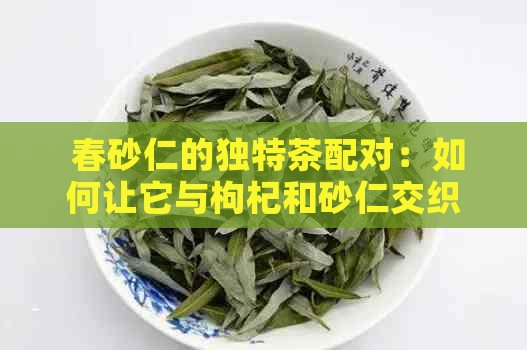  春砂仁的独特茶配对：如何让它与枸杞和砂仁交织出美妙的茶饮口感