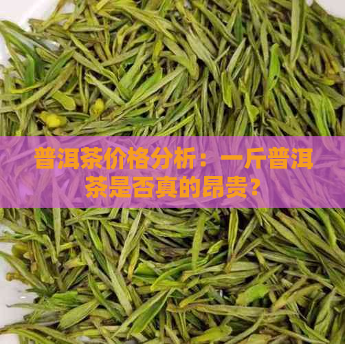 普洱茶价格分析：一斤普洱茶是否真的昂贵？