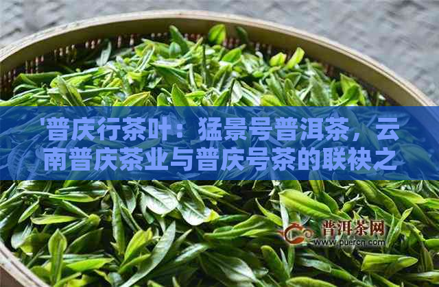 '普庆行茶叶：猛景号普洱茶，云南普庆茶业与普庆号茶的联袂之作'