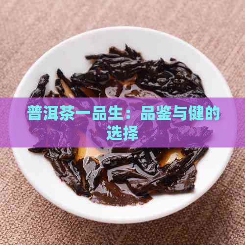 普洱茶一品生：品鉴与健的选择