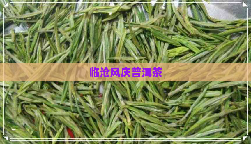 临沧风庆普洱茶