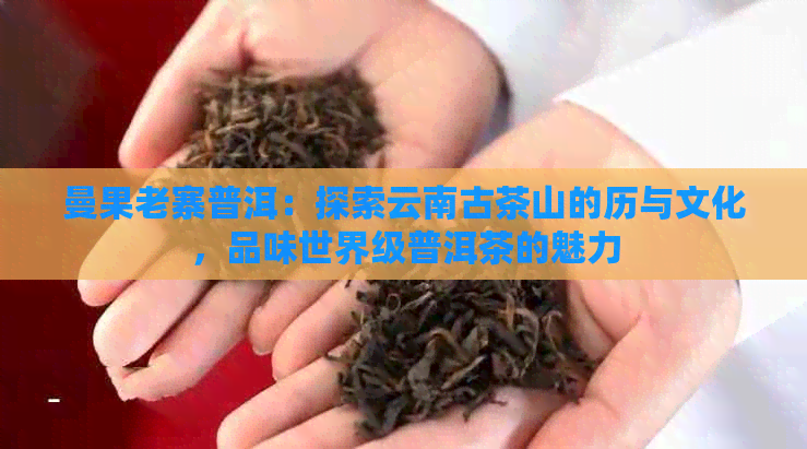 曼果老寨普洱：探索云南古茶山的历与文化，品味世界级普洱茶的魅力