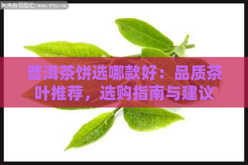 普洱茶饼选哪款好：品质茶叶推荐，选购指南与建议