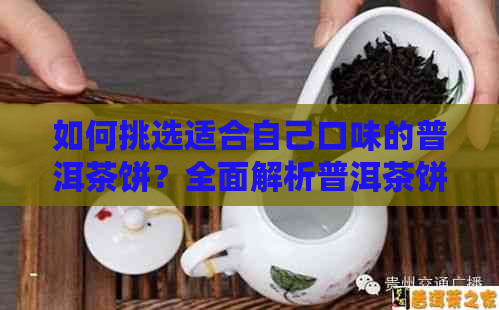 如何挑选适合自己口味的普洱茶饼？全面解析普洱茶饼品种、品质、年份及泡法