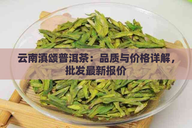 云南滇颂普洱茶：品质与价格详解，批发最新报价